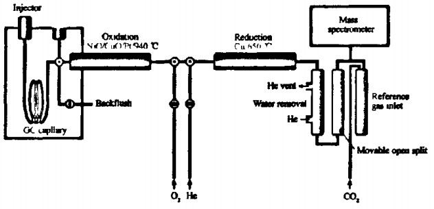 气相色谱一燃烧一同位素比质谱原理示意图