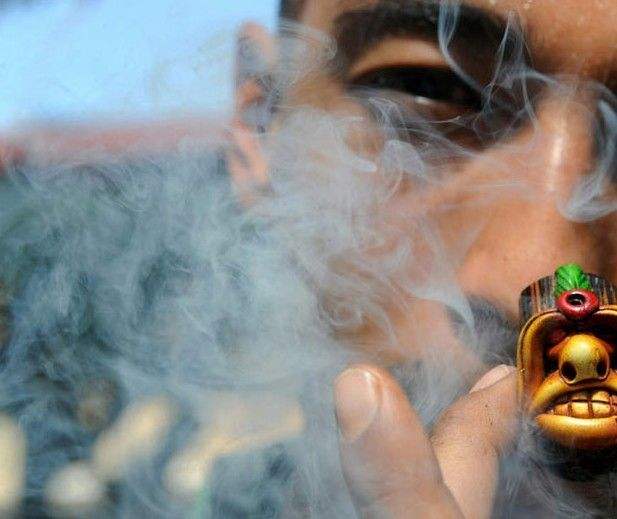 长期吸食大麻对人身的六大危害