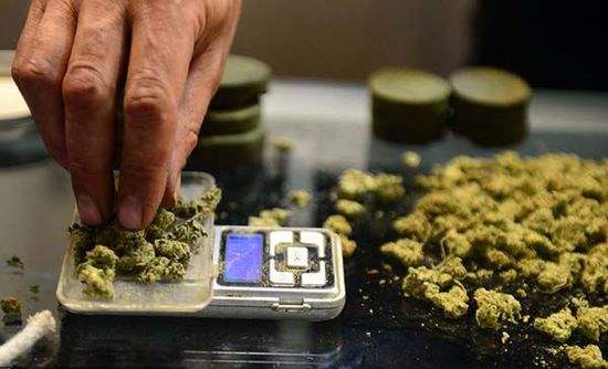 什么是大麻，毒品检测网给你做一次大麻科普