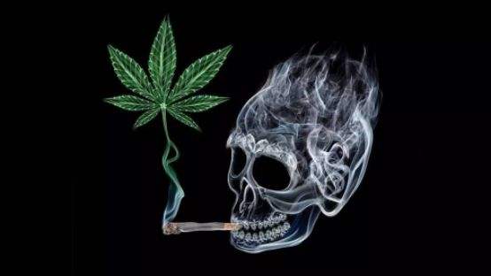 大麻毒瘾如何戒除