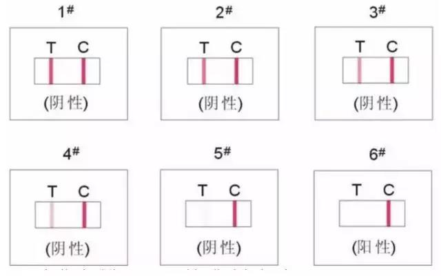 毛发毒品检测试剂
