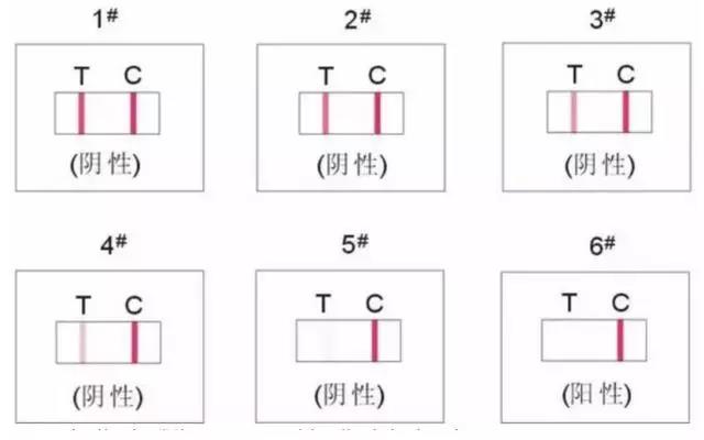 毛发毒品检测试剂