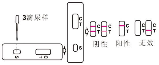 尿检板检测演示图